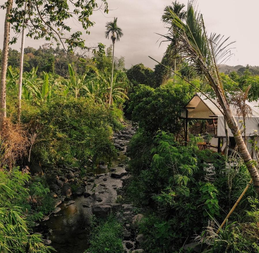 Camani Glamping Hotel Karangasem Exterior foto
