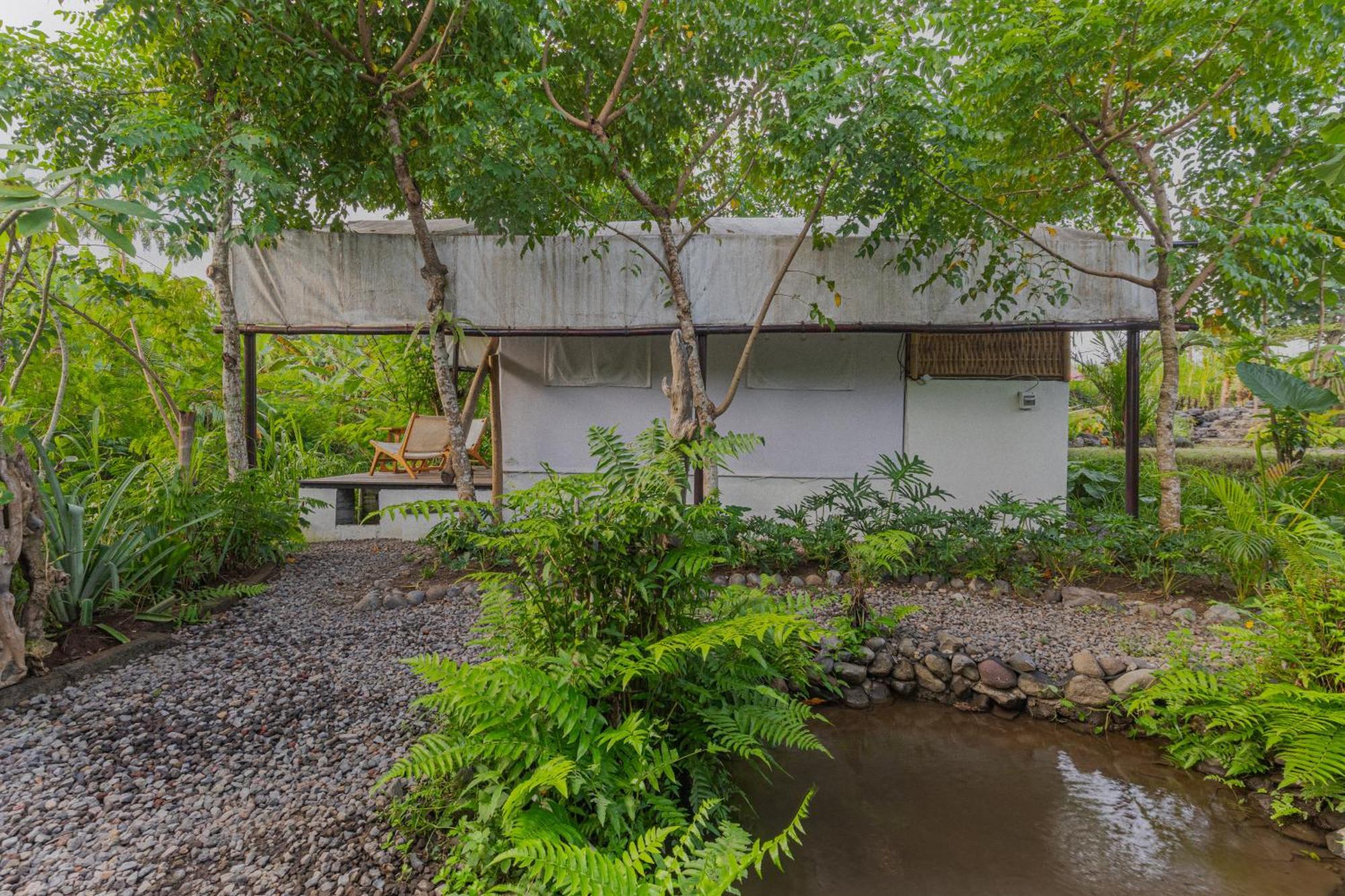 Camani Glamping Hotel Karangasem Exterior foto