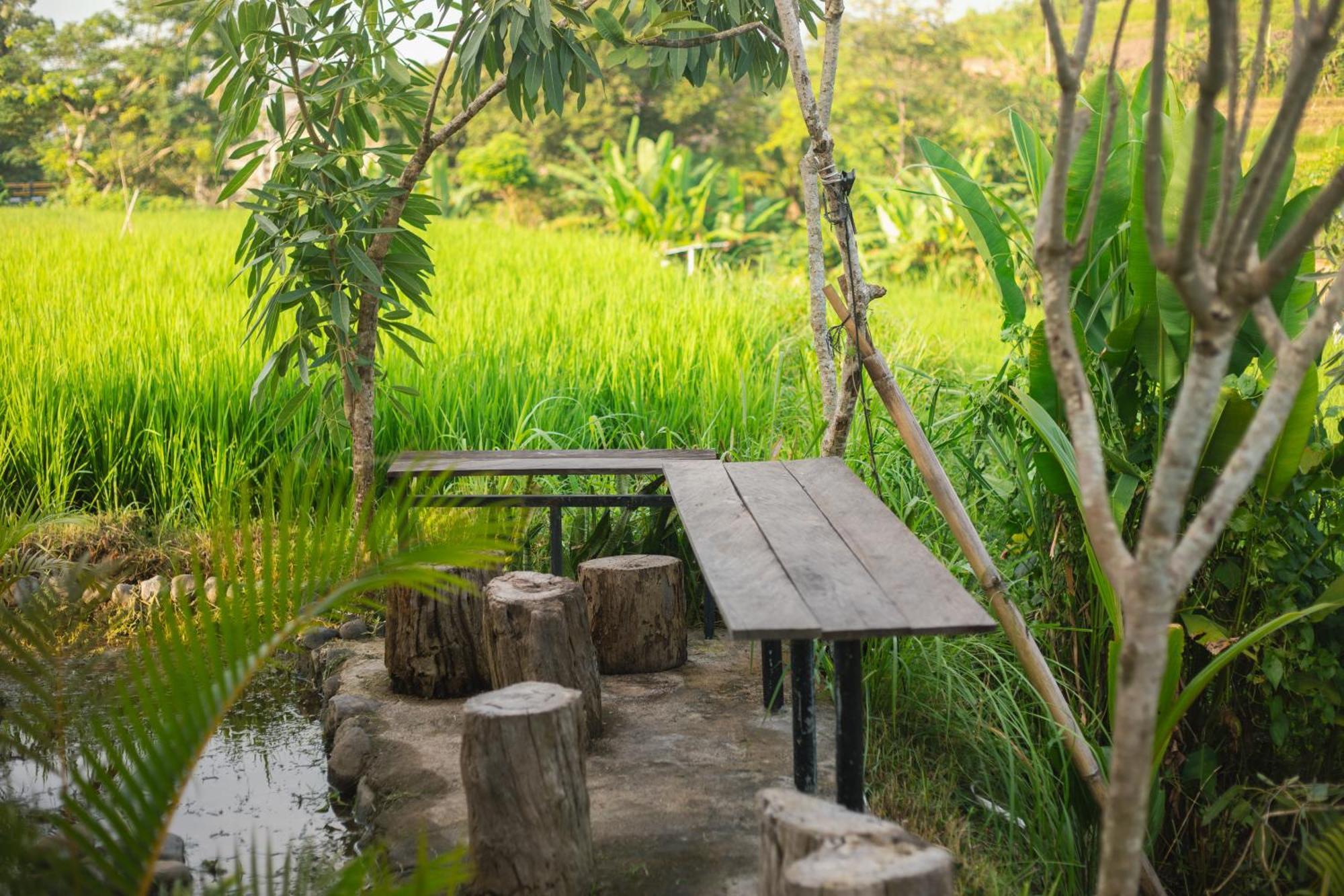 Camani Glamping Hotel Karangasem Exterior foto