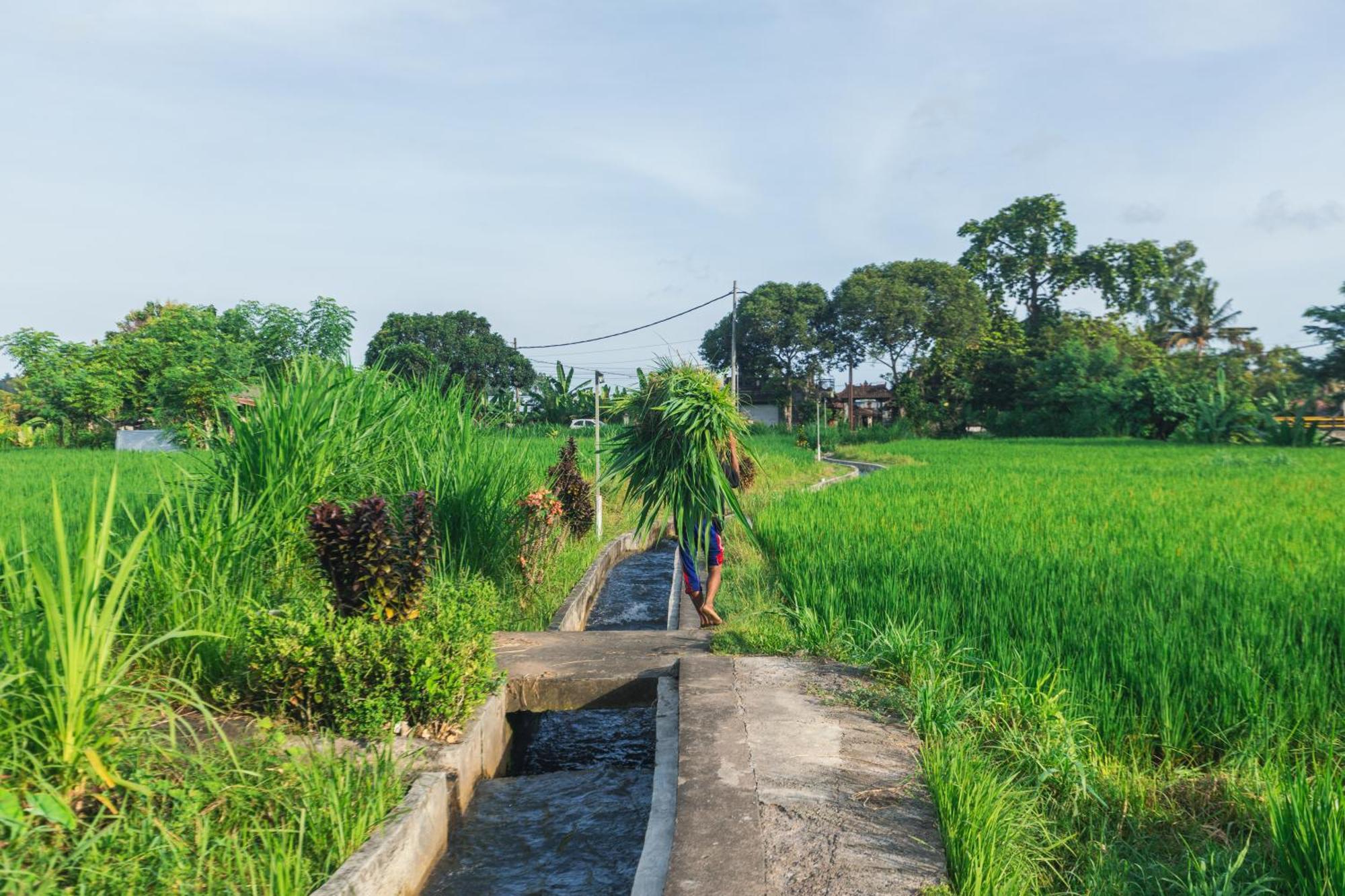 Camani Glamping Hotel Karangasem Exterior foto