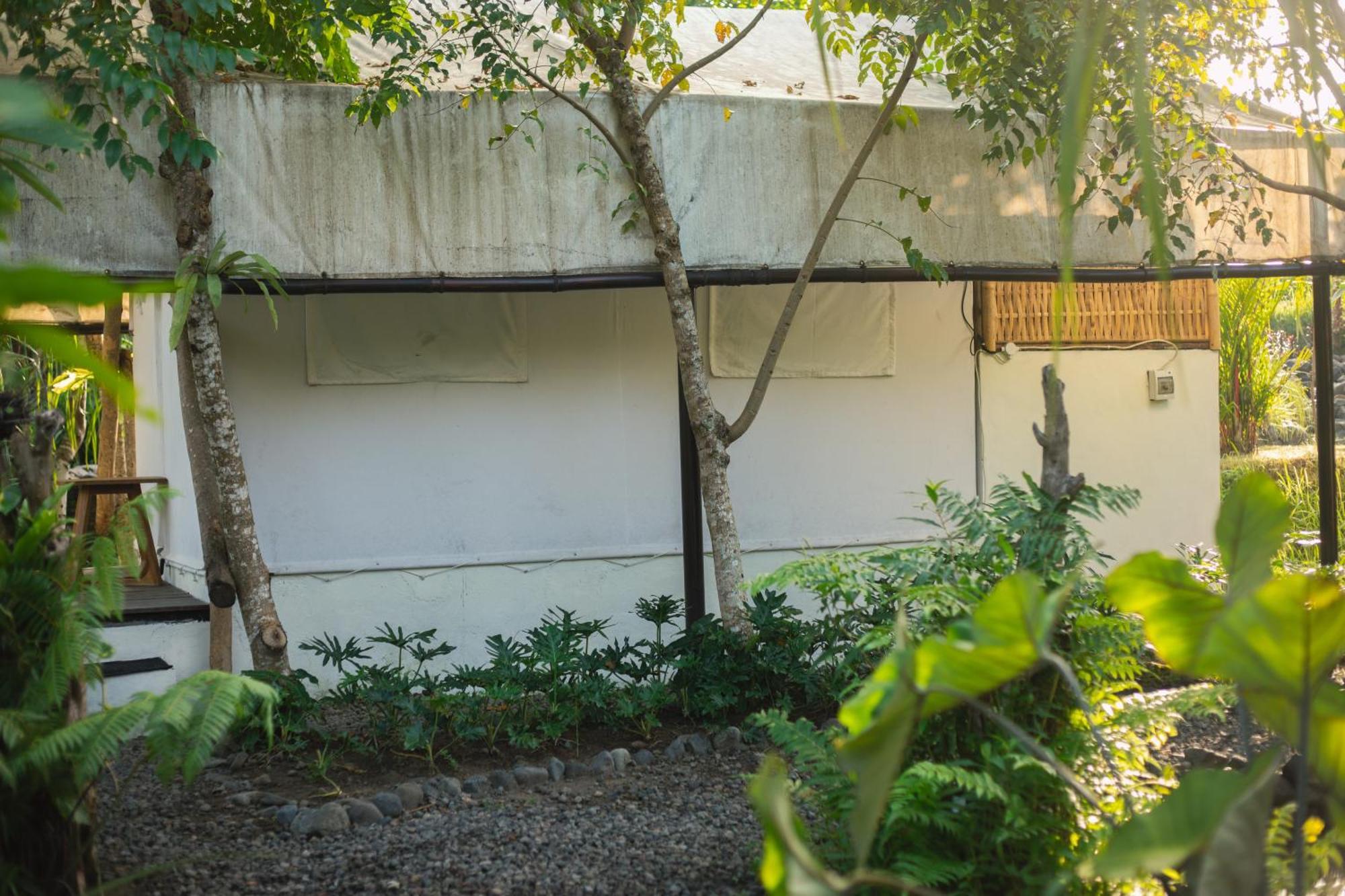 Camani Glamping Hotel Karangasem Cameră foto